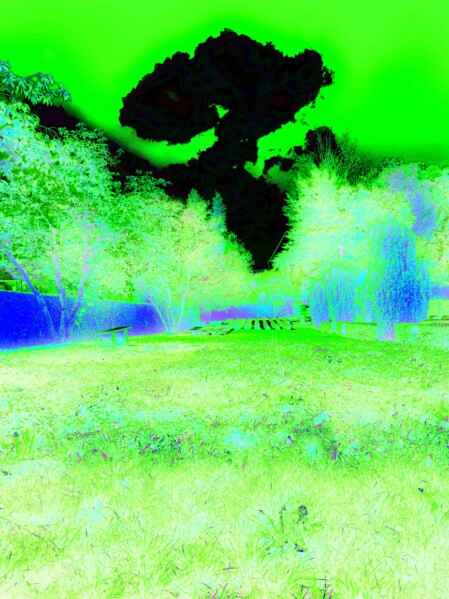 letzte freiräume friedhof hasenacker männedorf im wandel kulturschüür ausstellung thomas pfister fotografie 2024 letzte freiräume friedhof hasenacker männedorf im wandel kulturschüür ausstellung thomas pfister fotografie 2024