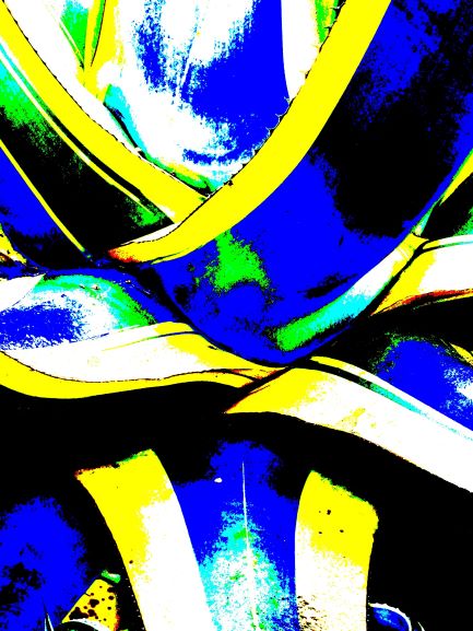 Pop Agave bleu savoir-voir.com ProvencePhotoPopArt copyright Pop Agave bleu savoir-voir.com ProvencePhotoPopArt copyright