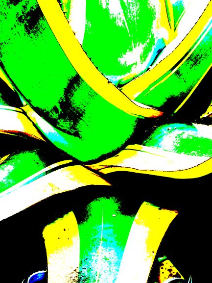 Pop Agave vert savoir-voir.com ProvencePhotoPopArt copyright Pop Agave vert savoir-voir.com ProvencePhotoPopArt copyright