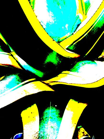 Pop Agave turquoise  savoir-voir.com ProvencePhotoPopArt copyright Pop Agave turquoise  savoir-voir.com ProvencePhotoPopArt copyright