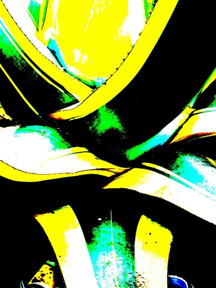 Pop Agave turquoise  jaune savoir-voir.com ProvencePhotoPopArt copyright Pop Agave turquoise  jaune savoir-voir.com ProvencePhotoPopArt copyright