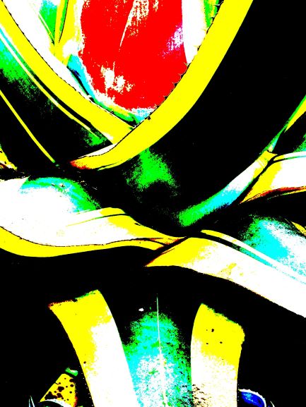 Pop Agave turquoise  rouge savoir-voir.com ProvencePhotoPopArt copyright Pop Agave turquoise  rouge savoir-voir.com ProvencePhotoPopArt copyright