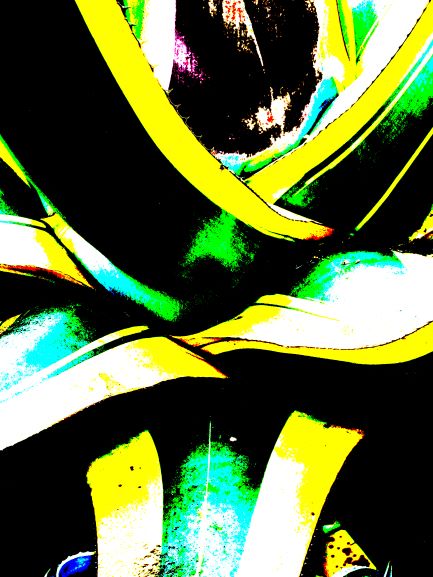 Pop Agave turquoise noir  savoir-voir.com ProvencePhotoPopArt copyright Pop Agave turquoise noir savoir-voir.com ProvencePhotoPopArt copyright