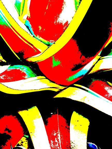 Pop Agave rouge savoir-voir.com ProvencePhotoPopArt copyright Pop Agave rouge savoir-voir.com ProvencePhotoPopArt copyright