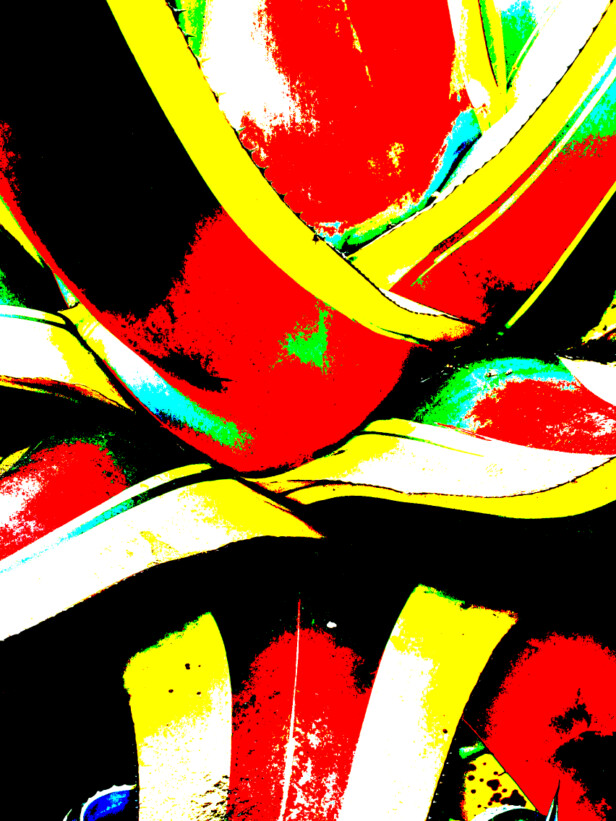 Pop Agave rouge savoir-voir.com ProvencePhotoPopArt copyright Pop Agave rouge savoir-voir.com ProvencePhotoPopArt copyright