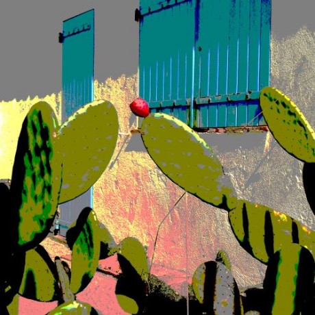 Cap Taillat nature pop  savoir-voir.com ProvencePhotoPopArt copyright