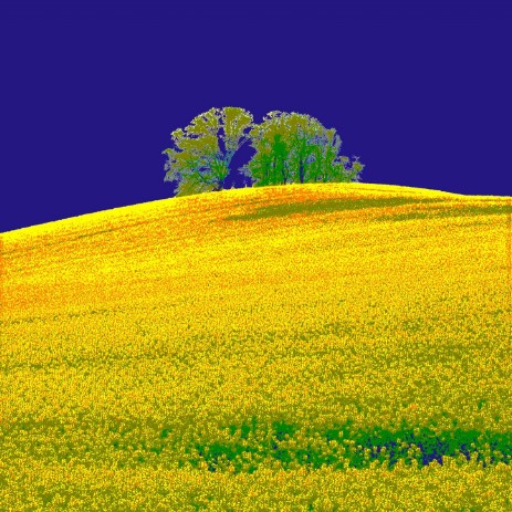 rapsody in blue Rapsfeld Bodensee copyright thomas pfister savoir-voir.com