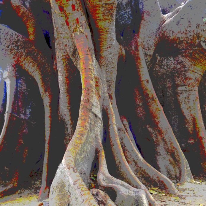  savoir-voir.com copyright thomas pfister