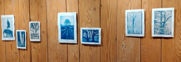 Cyanotypes Berührende Bäume Foma 25 Männedorf Annette Golaz Thomas Pfister 2 Cyanotypes Berührende Bäume Foma 25 Männedorf Annette Golaz Thomas Pfister 2
