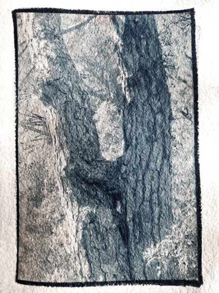 Cyanotypie Berührende Bäume Thomas Pfister Annette Golaz 2024 Cyanotypie Berührende Bäume Thomas Pfister Annette Golaz 2024