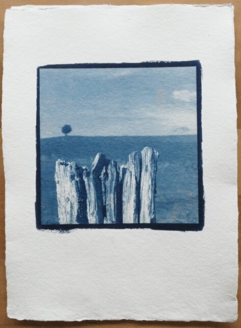 Cyanotypie Titel loslassend  copyright thomas pfister 2024 Cyanotypie Titel loslassend  copyright thomas pfister 2024