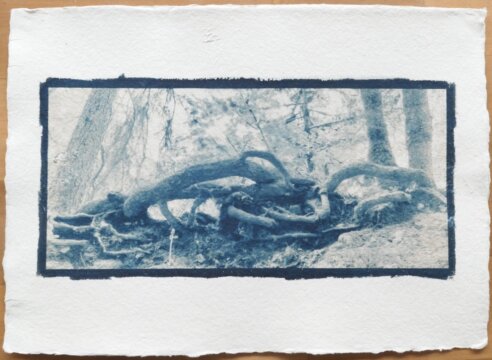 Cyanotypie Titel miteinander verflochten  copyright thomas pfister 2024 Cyanotypie Titel miteinander verflochten  copyright thomas pfister 2024