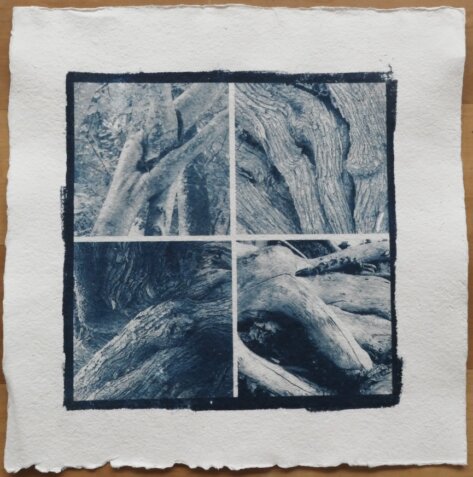 Cyanotypie Titel sinnlich copyright thomas pfister 2024 Cyanotypie Titel sinnlich copyright thomas pfister 2024