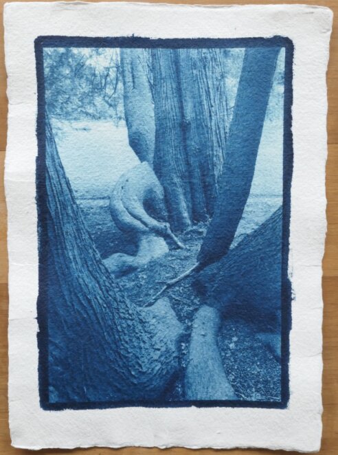 Cyanotypie Titel traurig copyright thomas pfister 2024 Cyanotypie Titel traurig copyright thomas pfister 2024