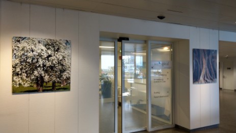 Galerie des Arts Kilchberg savoir-voir.com Ausstellung thomas pfister 2021 3