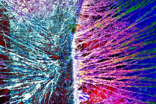 Jona Haselstrauch gespiegelt copyrigt thomas pfister savoir-voir.com