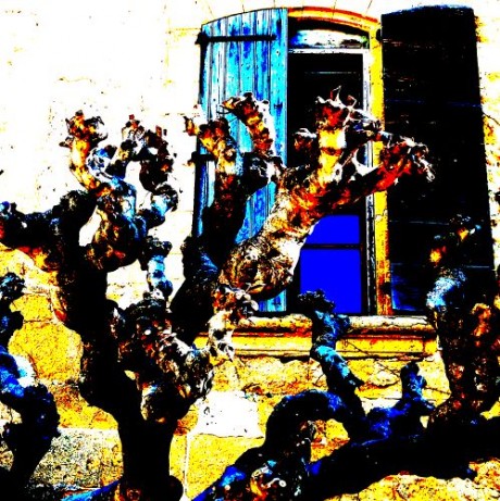 Lourmarin  pop nature savoir-voir.com ProvencePhotoPopArt copyright