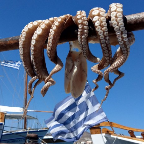 naousa octopus paros savoir-voir.com copyright thomas pfister naousa octopus paros savoir-voir.com copyright thomas pfister