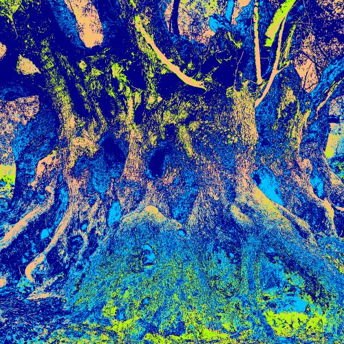 olive ghosts savoir-voir.com copyright thomas pfister