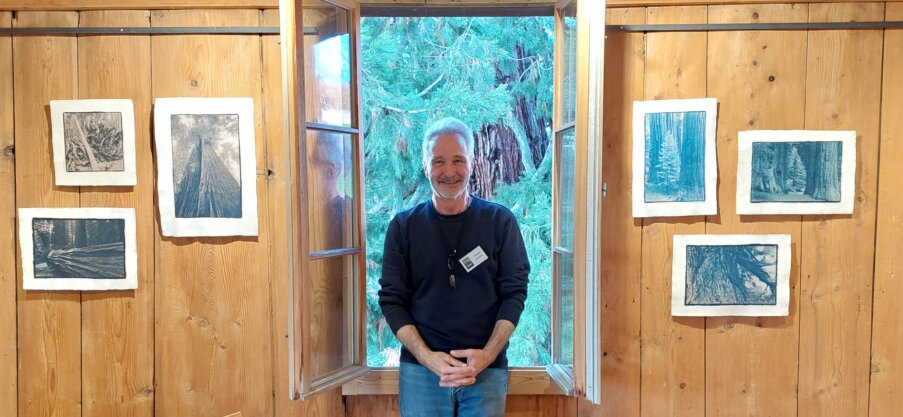 Redwood Cyanotypien Foma 25 Kulturschüür Männedorf Thomas Pfister  Redwood Cyanotypien Foma 25 Kulturschüür Männedorf Thomas Pfister