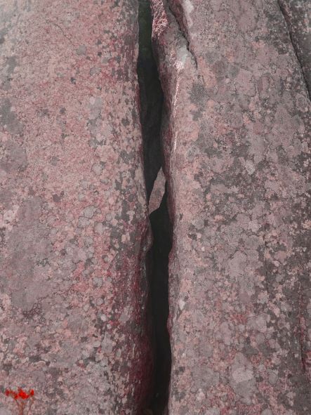 de flora carnac menhir savoir-voir.com thomas pfister copyright