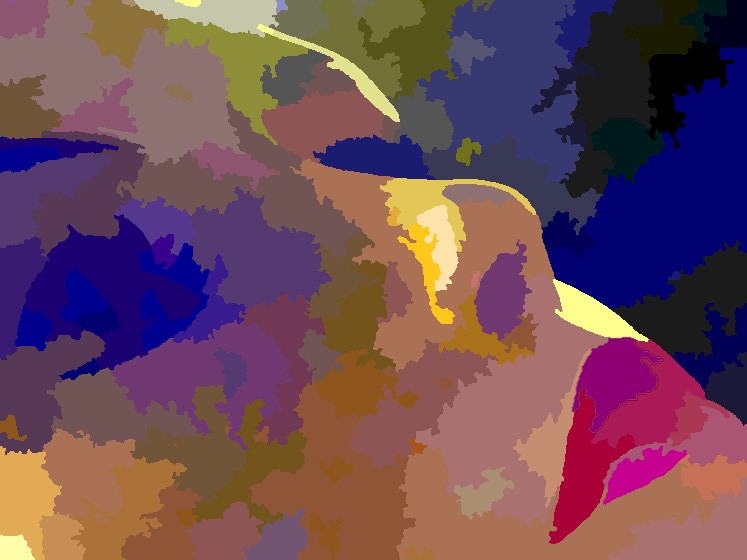 sleeping beauty savoir-voir.com thomas pfister copyright sleeping beauty savoir-voir.com thomas pfister copyright