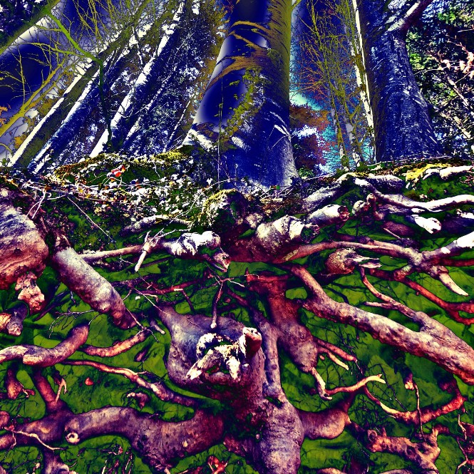 power plant pulsating roots pop 3 savoir-voir.com copyright thomas pfister power plant pulsating roots pop 3 savoir-voir.com copyright thomas pfister