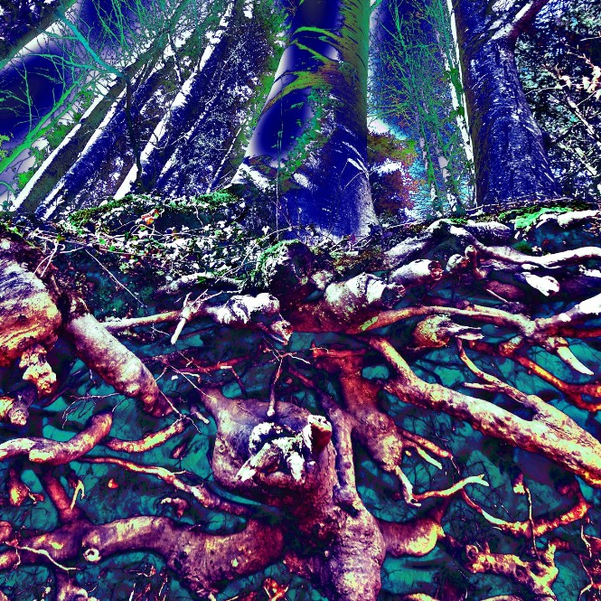 power plant pulsating roots pop 2 savoir-voir.com copyright thomas pfister power plant pulsating roots pop 2 savoir-voir.com copyright thomas pfister