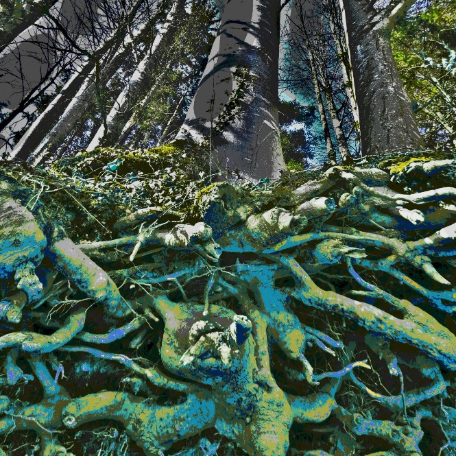 power plant pulsating roots pop 4 savoir-voir.com copyright thomas pfister  power plant pulsating roots pop 4 savoir-voir.com copyright thomas pfister