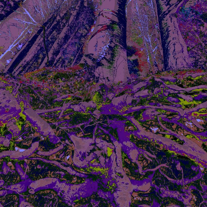 power plant pulsating roots pop purple savoir-voir.com copyright thomas pfister power plant pulsating roots pop purple savoir-voir.com copyright thomas pfister