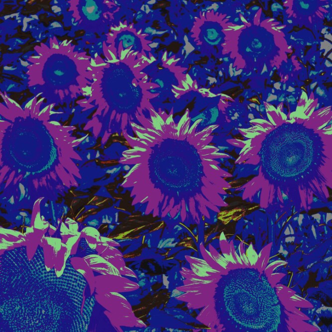 sunflowers blue thomas pfister savoir-voir.com copyright