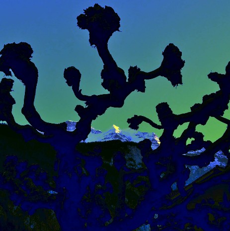 copyright thomas pfister savoir-voir.com silberhorn jungfrau lauterbrunnen